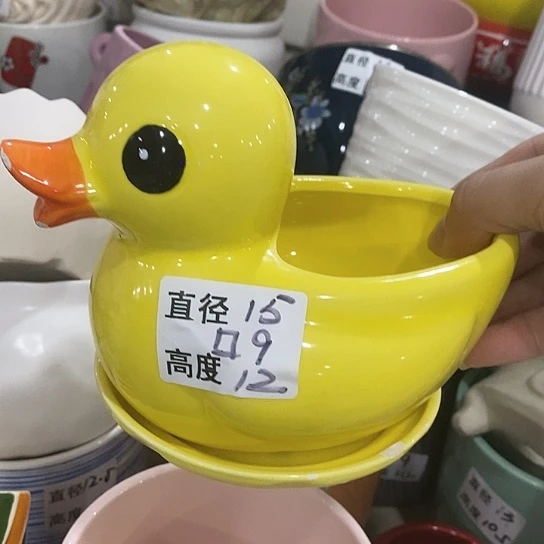 红陶20CM（含）-50CM（不含）
