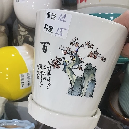 红陶20CM（含）-50CM（不含）