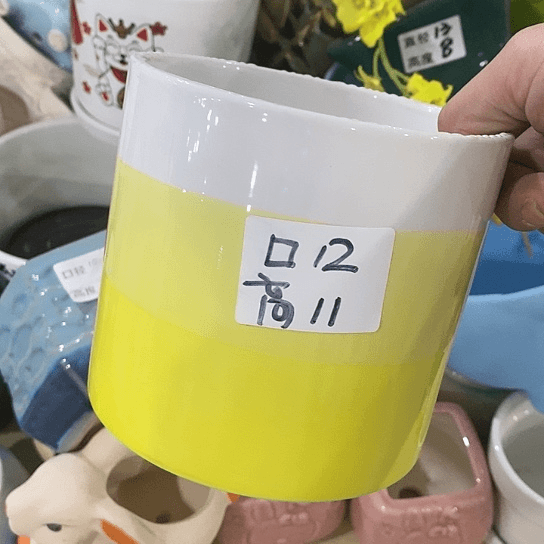 红陶20CM（含）-50CM（不含）