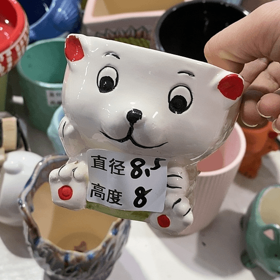 红陶20CM（含）-50CM（不含）