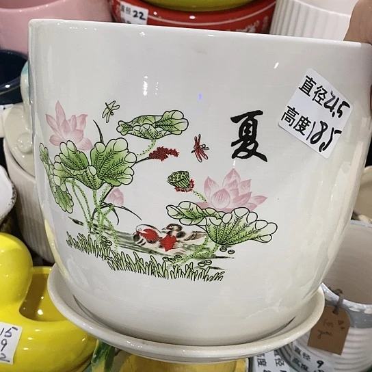 红陶20CM（含）-50CM（不含）