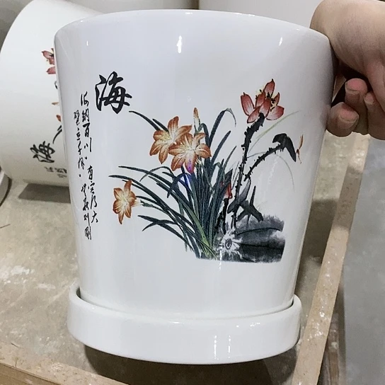 红陶20CM（含）-50CM（不含）