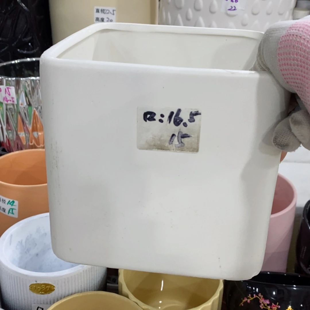 红陶20CM（含）-50CM（不含）
