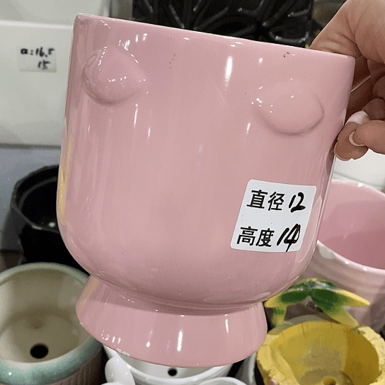 红陶20CM（含）-50CM（不含）