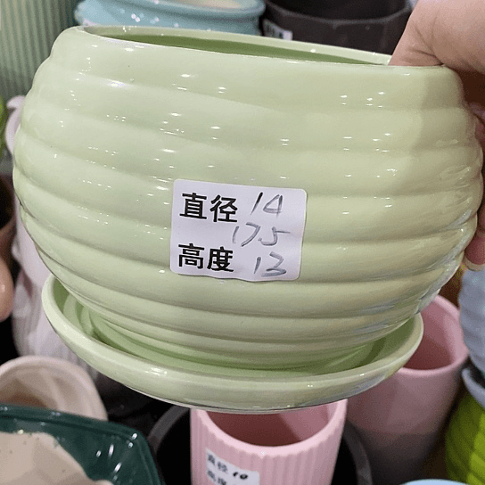 红陶20CM（含）-50CM（不含）