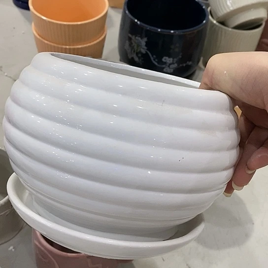 红陶20CM（含）-50CM（不含）