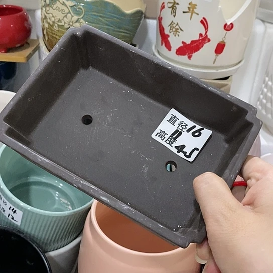 红陶20CM（含）-50CM（不含）