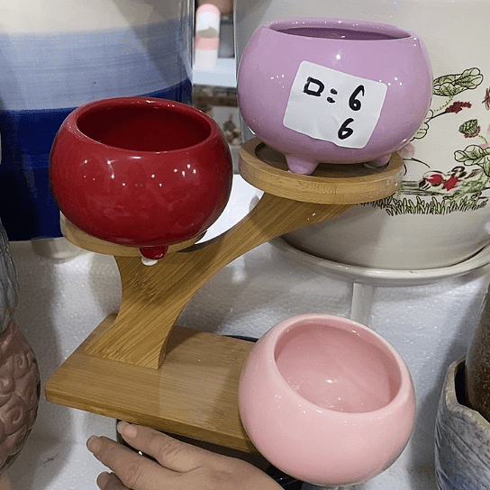 红陶20CM（含）-50CM（不含）