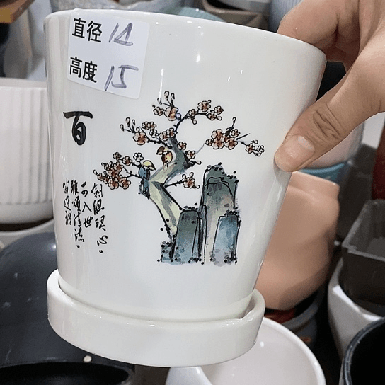 红陶20CM（含）-50CM（不含）