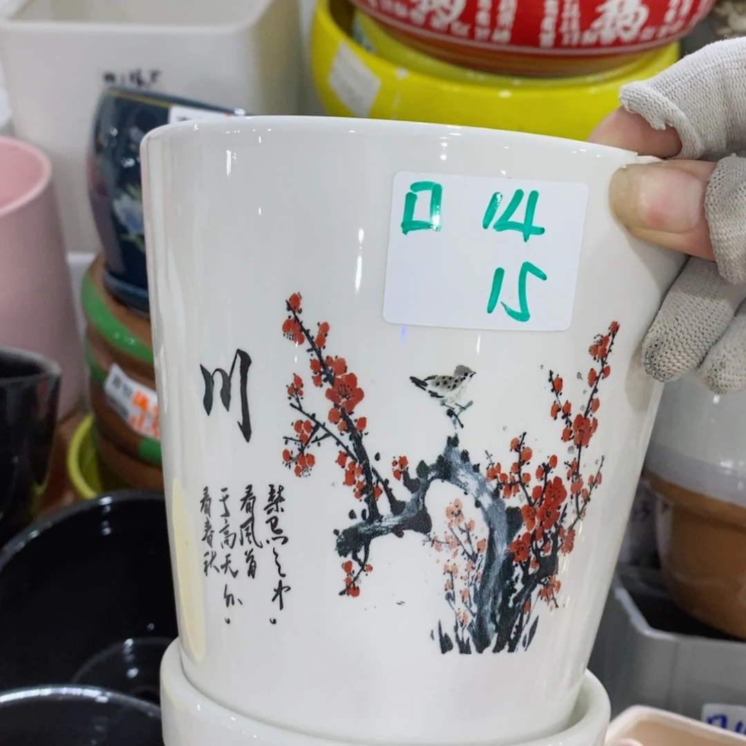 红陶20CM（含）-50CM（不含）