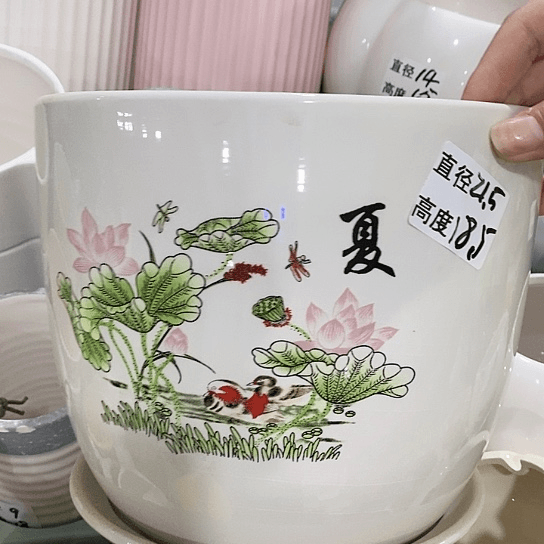 红陶20CM（含）-50CM（不含）