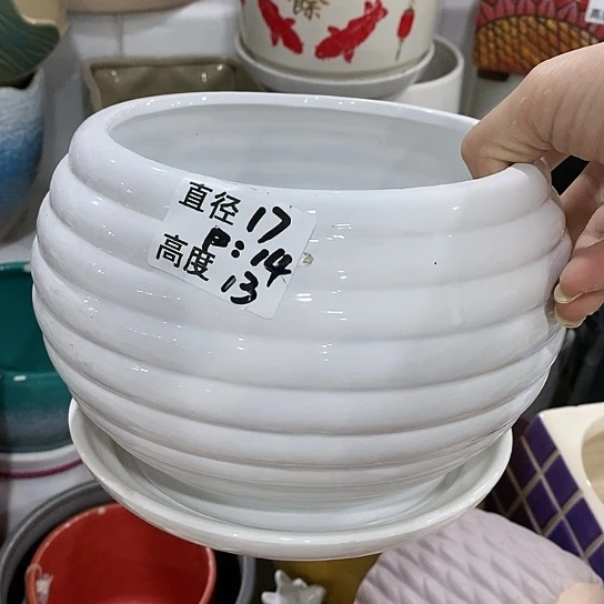 红陶20CM（含）-50CM（不含）
