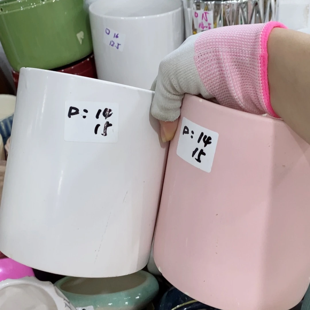 红陶20CM（含）-50CM（不含）