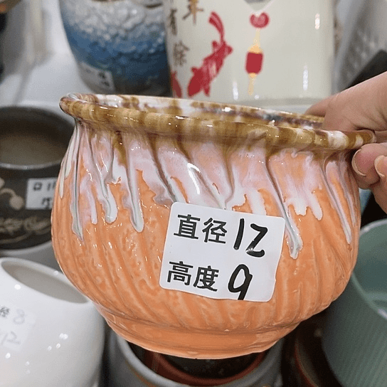 红陶20CM（含）-50CM（不含）