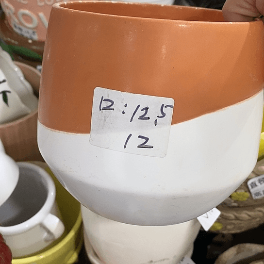 红陶20CM（含）-50CM（不含）