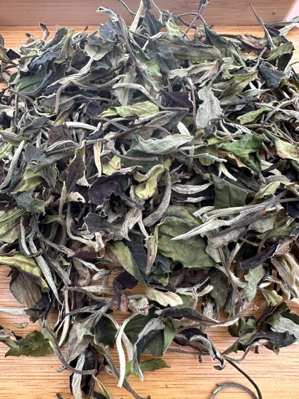 云南白茶大叶种白茶月光寿