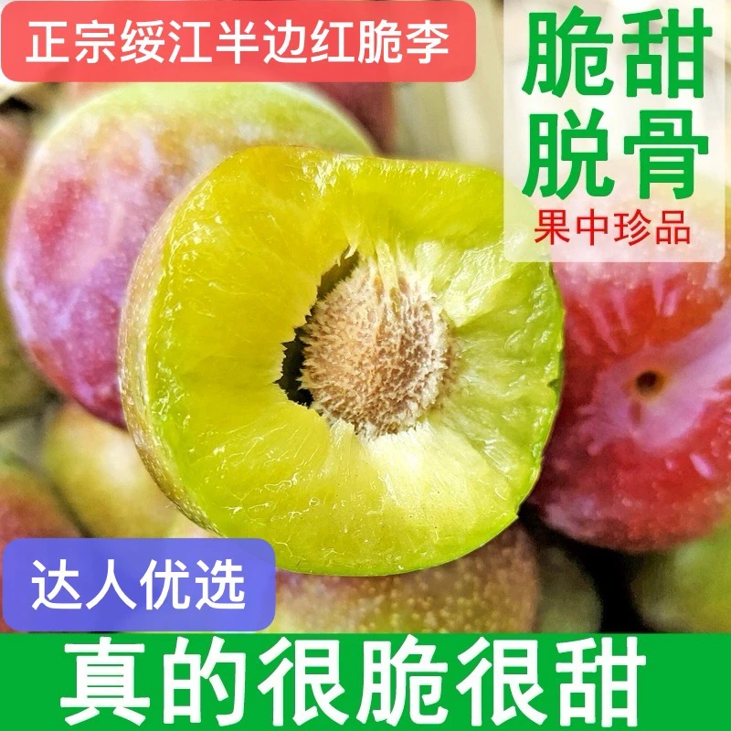 （达人优选专属）云南绥江新鲜半边红脆红李脱骨李5斤装包邮