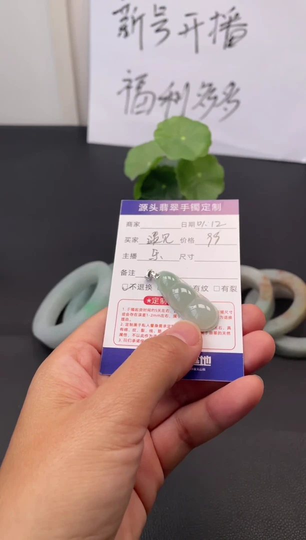 【闪购商品】翡翠颈饰银S925镶嵌翡翠豆子
