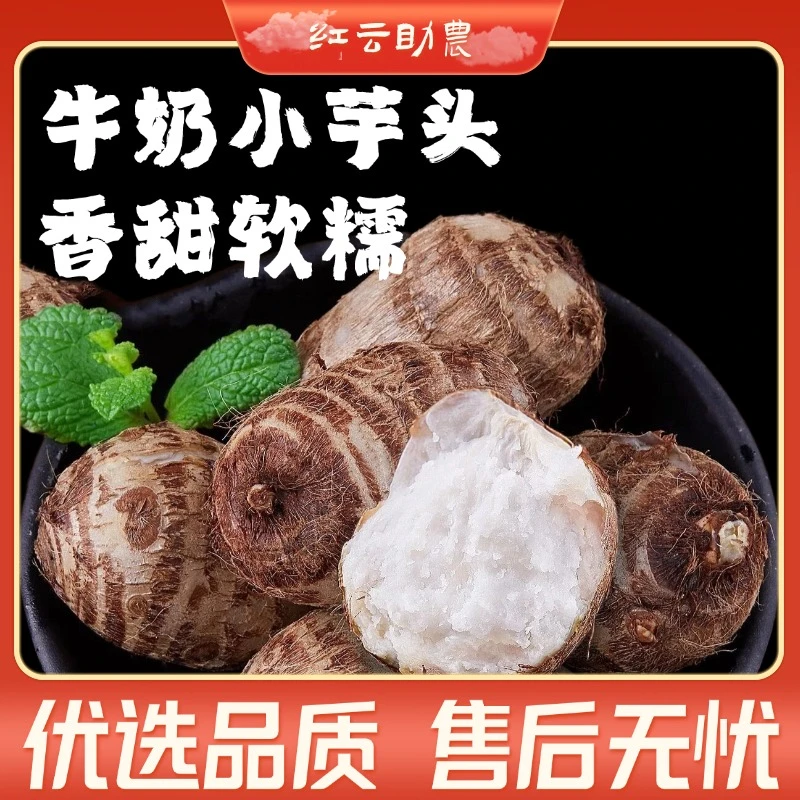 【云南现挖高山牛奶小芋头】当季农家粉软糯香甜小毛芋头芋艿整箱