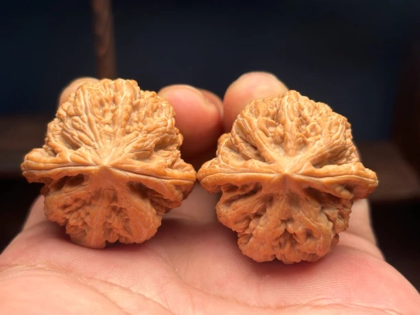 35全品平谷粗筋小精品