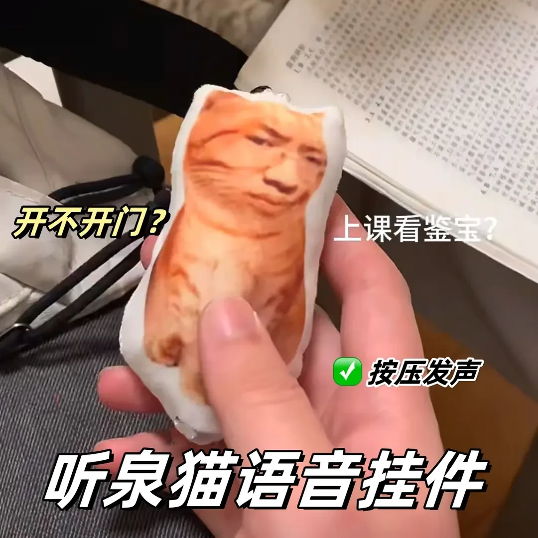 【现货包邮】网红听泉鉴宝语音钥匙扣听泉猫语音挂件发声玩偶包挂件