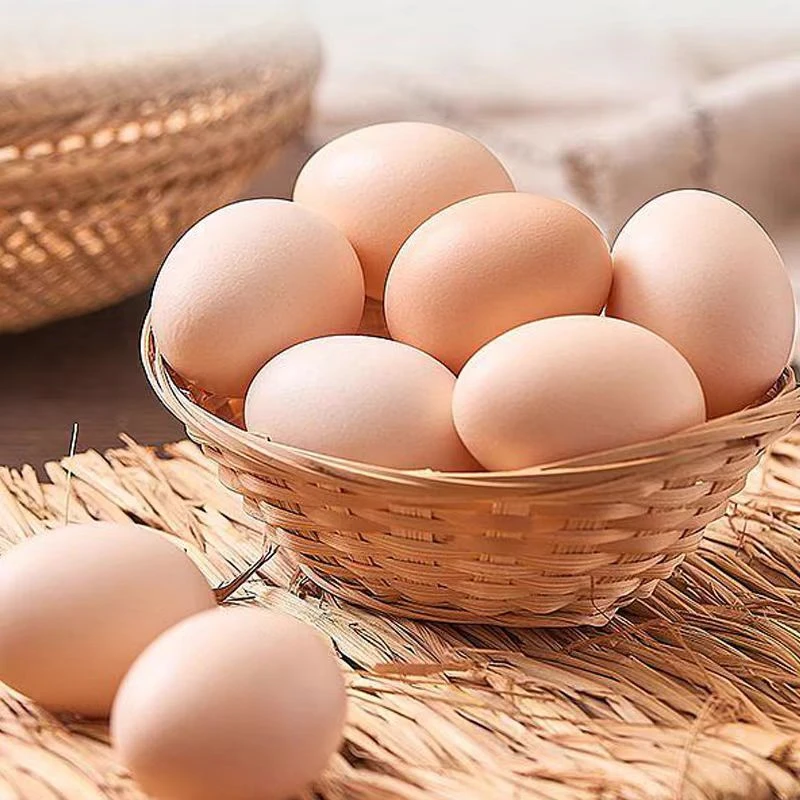 农家散养土鸡蛋生态高品质土鸡蛋新鲜谷饲鲜蛋