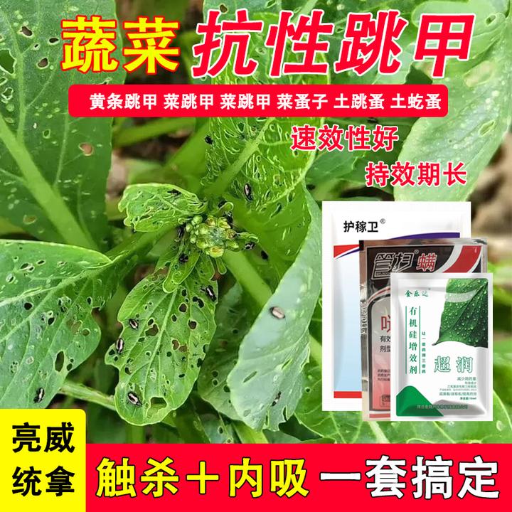亮威甘蓝蔬菜叶菜抗性跳甲虫灭除专用黄曲条跳甲专用有机质肥料