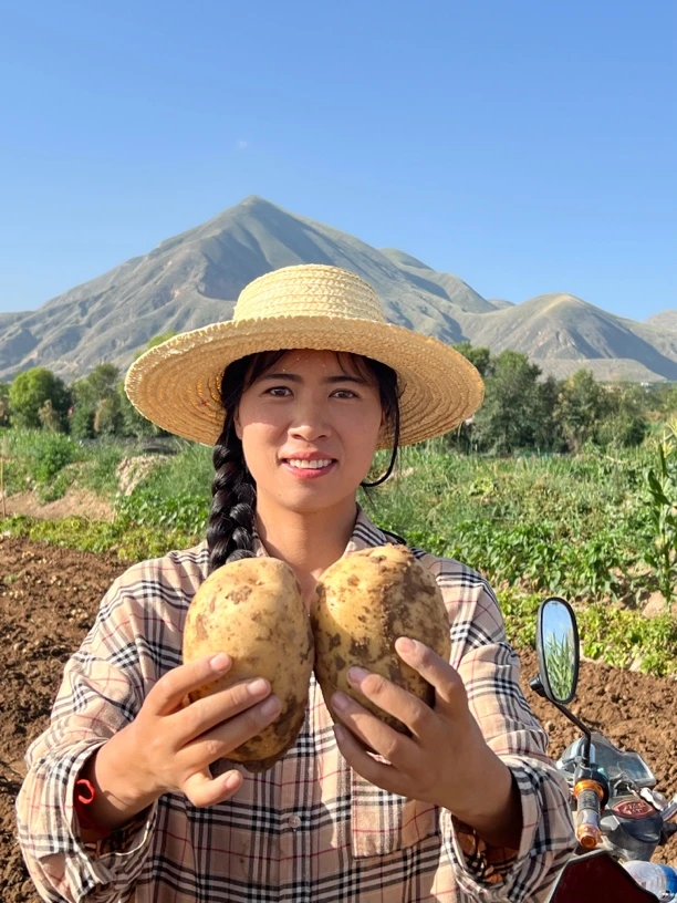 梅梅自家黄土高坡甘肃定西土豆洋芋马铃9斤大小混装包邮坏果包赔