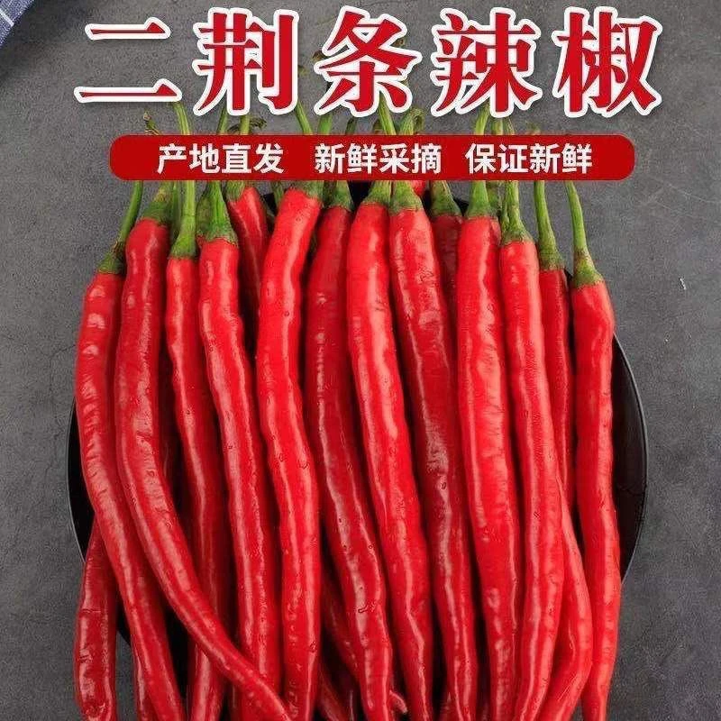 新鲜现摘红辣椒二荆条红线椒尖椒中辣青线辣椒批发可做剁椒酱泡椒