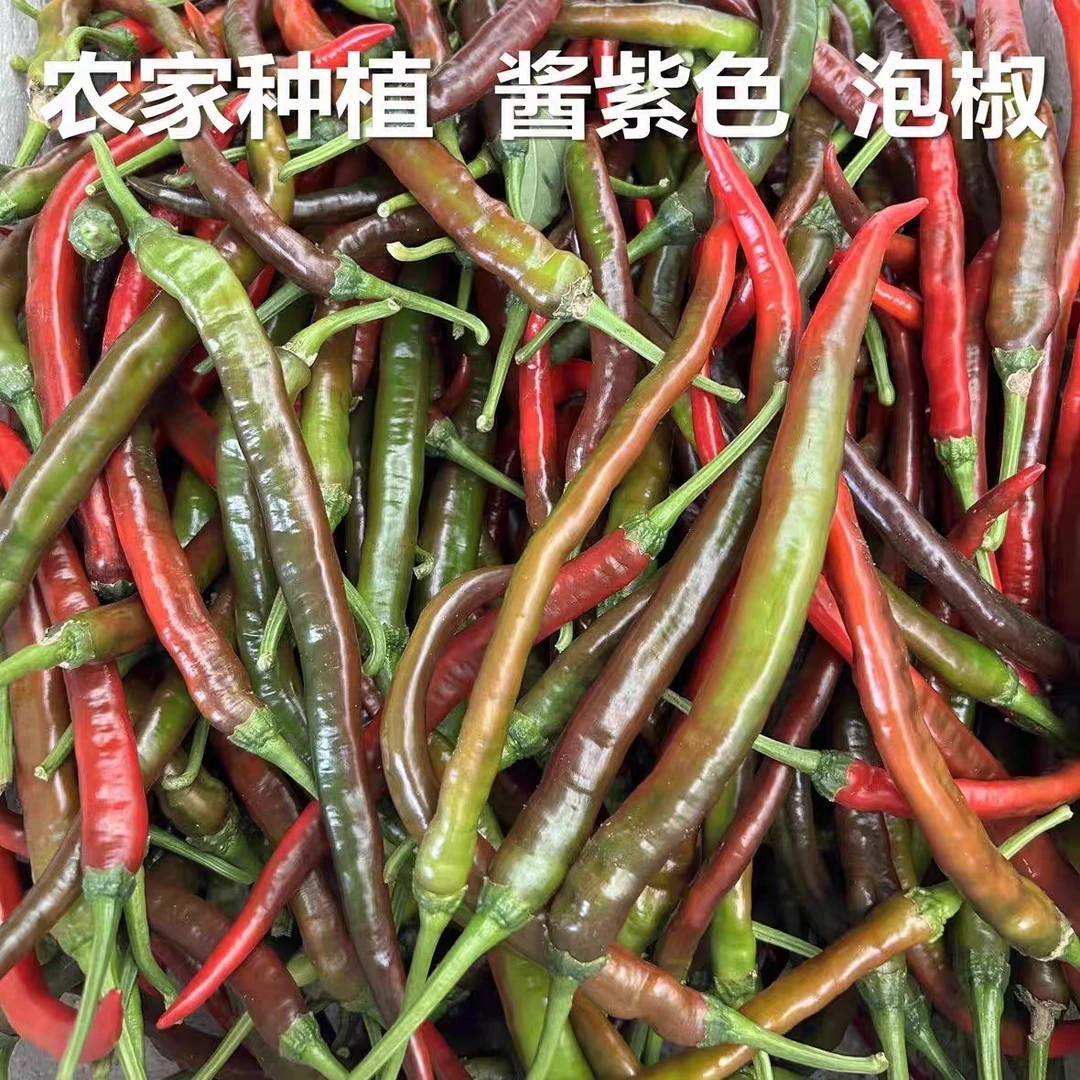 新鲜紫红色辣椒农家自种二荆条辣椒净重3斤5斤装