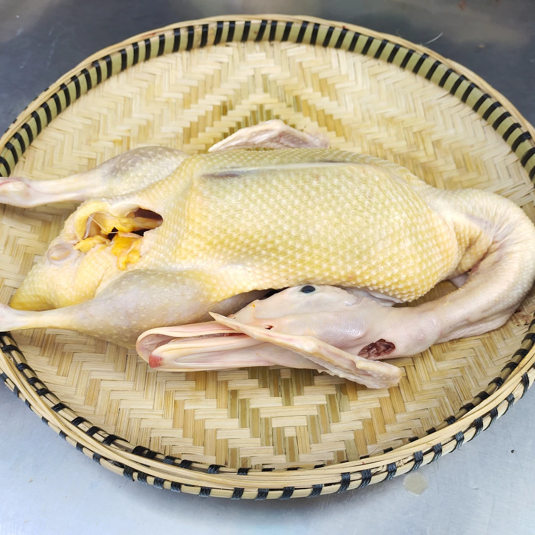 优选现杀农家土鸭