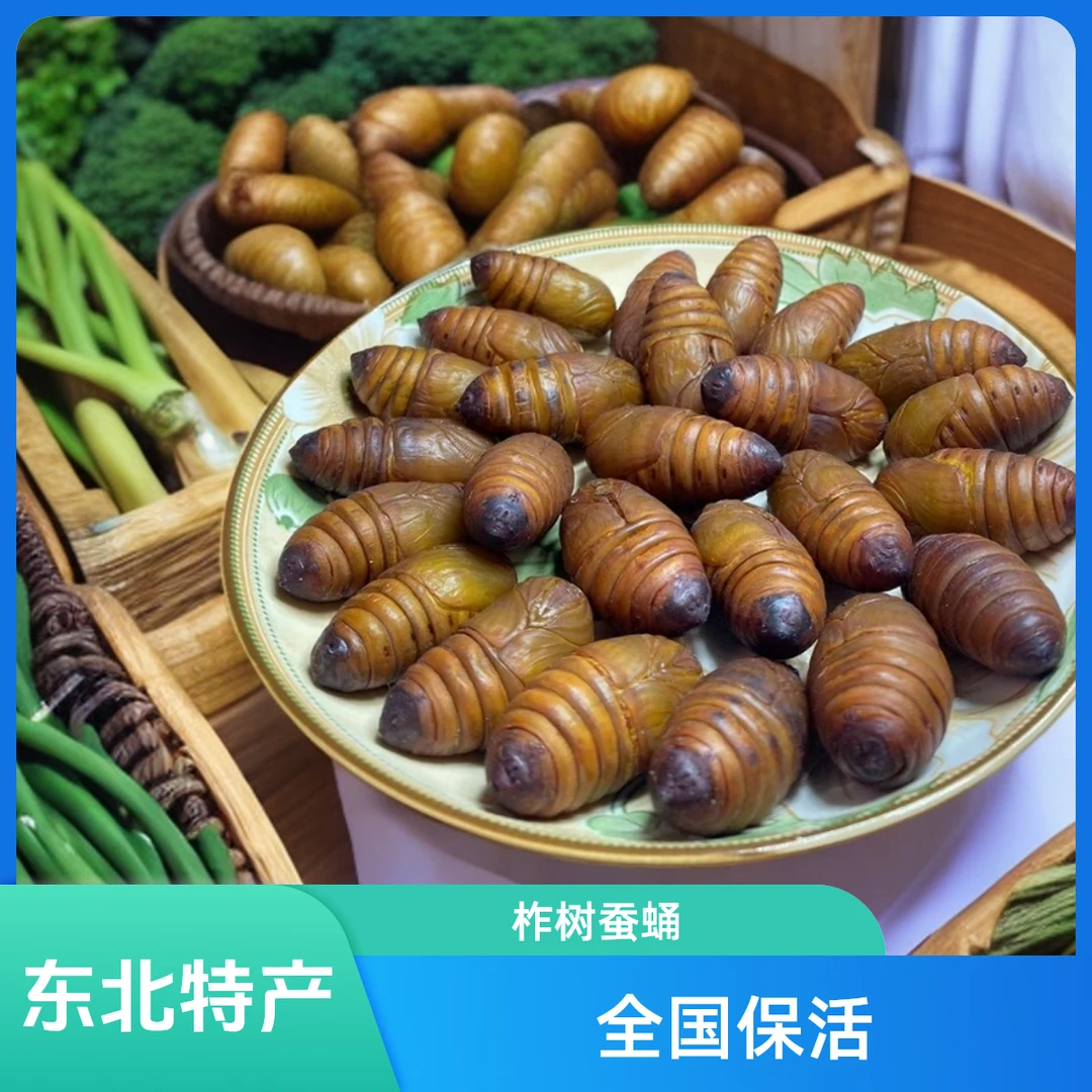（带壳发货）东北特产、禅蛹、茧蛹、柞树蚕蛹、鲜活产地聚划算