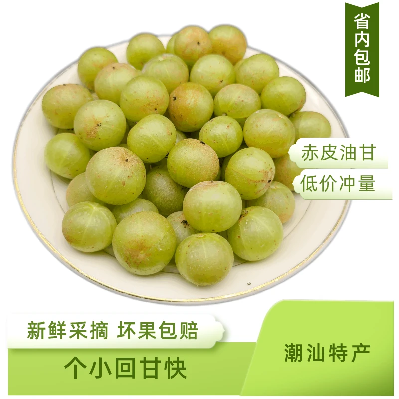 潮汕新鲜采摘赤皮甜种油甘果小个回甘明显可生吃榨汁煲汤一斤