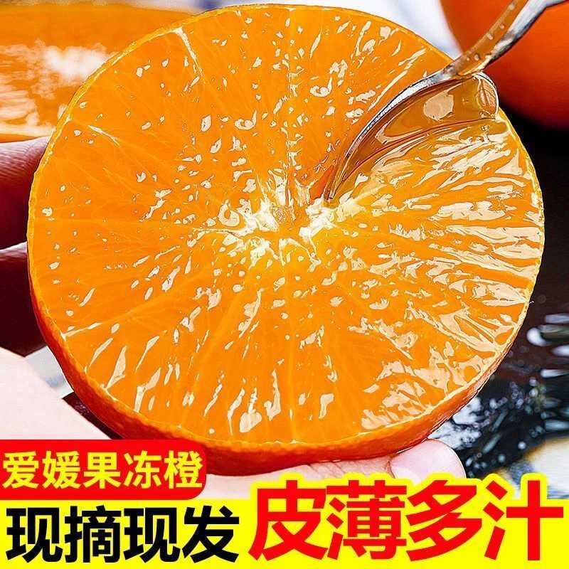 四川爱媛38号果冻橙当季橙子水果新鲜超甜薄皮手剥橙子冰糖橙脐橙