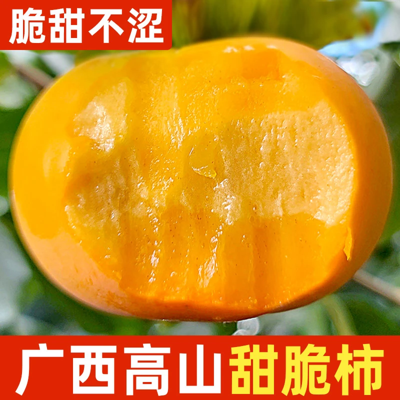 广西恭城甜脆柿子甜柿黄金巧克力柿新鲜应季水果苹果硬柿削皮无核
