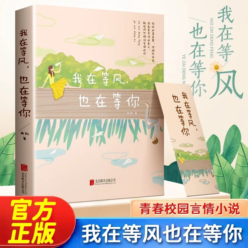 我在等风也在等你青春文学小说励志书籍大学生书籍言情小说爱情
