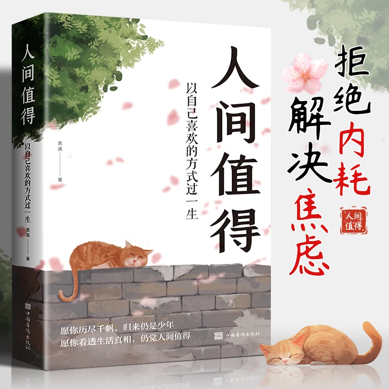 人间值得以自己喜欢的方式过一生成功励志情商与情绪青春文学书籍