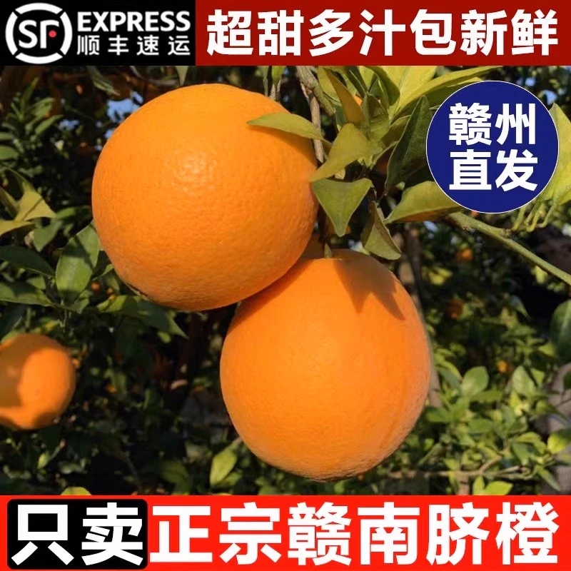 【顺丰带叶发货】正宗江西赣南脐橙产地现摘当季新鲜甜橙子产地直发