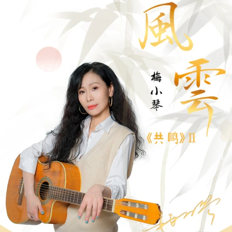 乐道梅小琴《风云》DSD/HQ/HQII/UHQ+MQA/24K金碟/1:1CD/LP 【共鸣2】