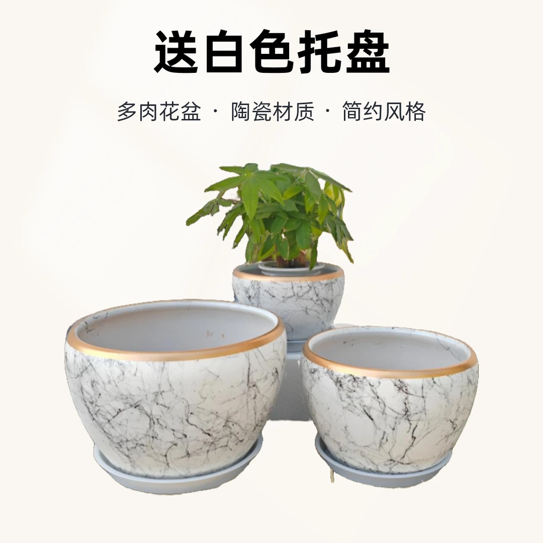 陶瓷中號特大號質量花盆清倉撿漏大號拍照白色直徑花盆多肉花盆