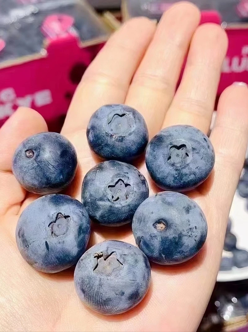 美益粒蓝莓（秘鲁）