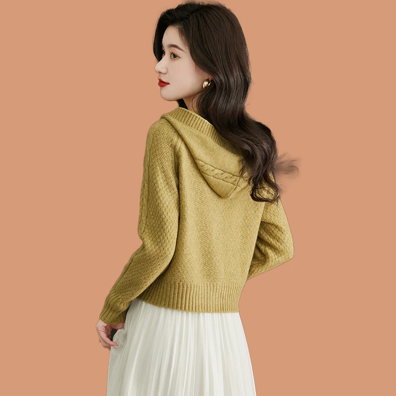 秋季连帽外套短款女装2025年新款休闲针织开衫小个子春秋毛衣外搭