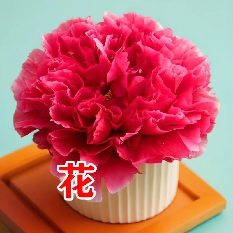 （花王）菏泽牡丹，国色天香，花盆，阳台，小月均可