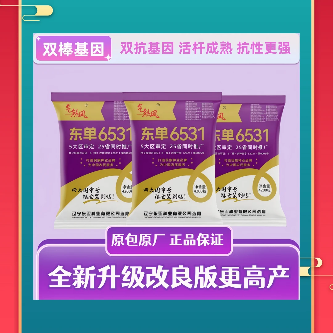 五大区审玉米种子-东单6531
