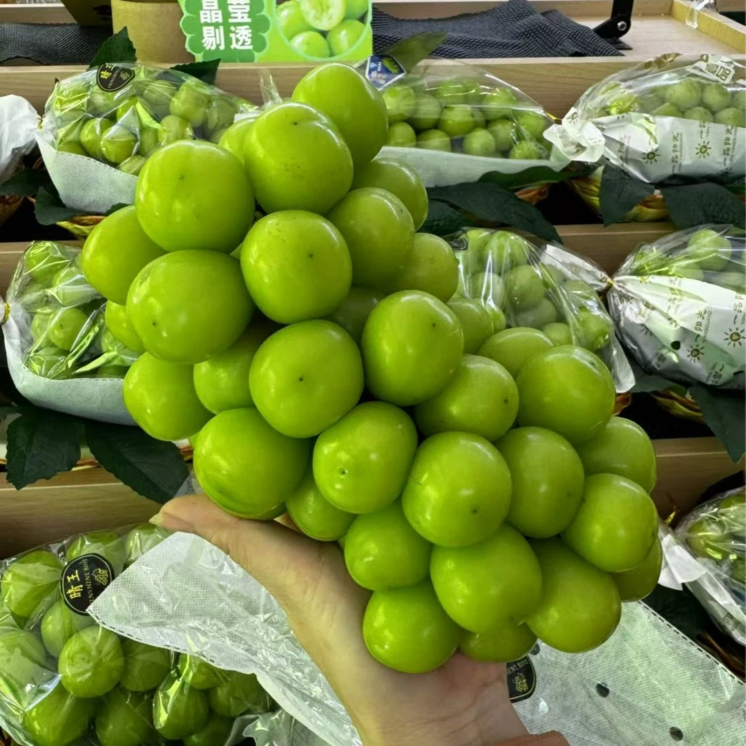 阳光玫瑰葡萄