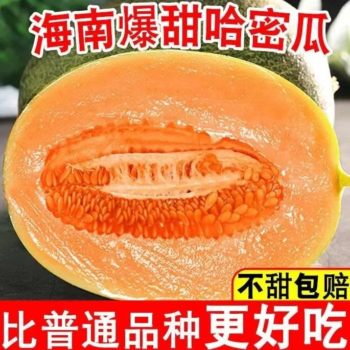 一级蜜脆哈蜜瓜1个3斤/9斤/件
