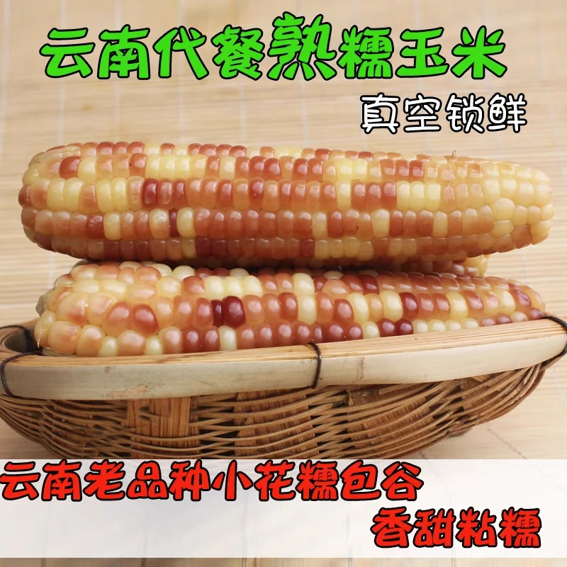 【礼盒】拇指小玉米/香糯小玉米1公斤