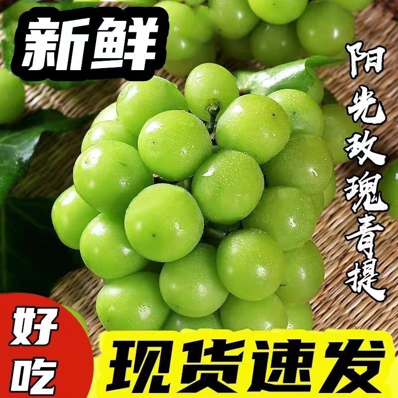 特级阳光玫瑰葡萄10斤