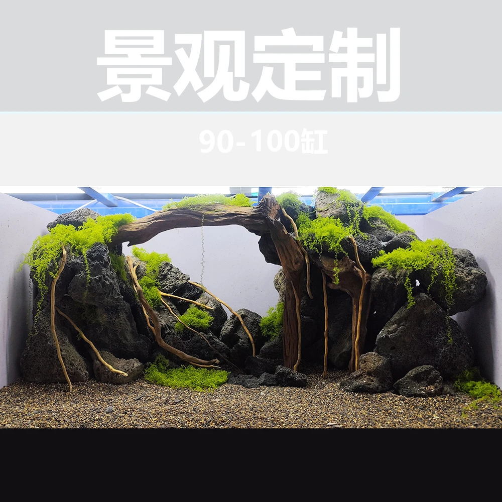 100缸使用定制景观造景成品套餐散装组合