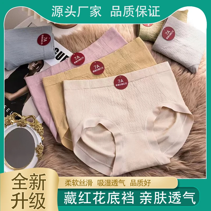 y【5条装】藏红花舒适女士纯色中腰高弹短裤